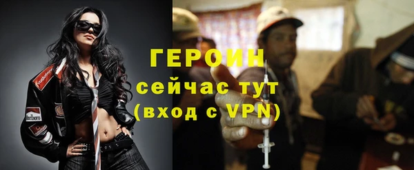 гидра Ельня