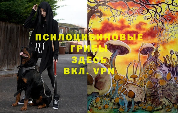 бошки Алексеевка