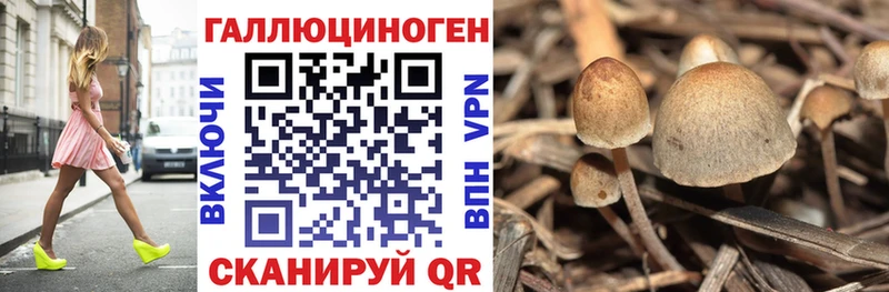 Псилоцибиновые грибы ЛСД  купить наркотик  маркетплейс клад  Куровское 