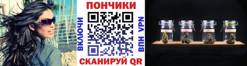 Канабис план mega сайт Куровское